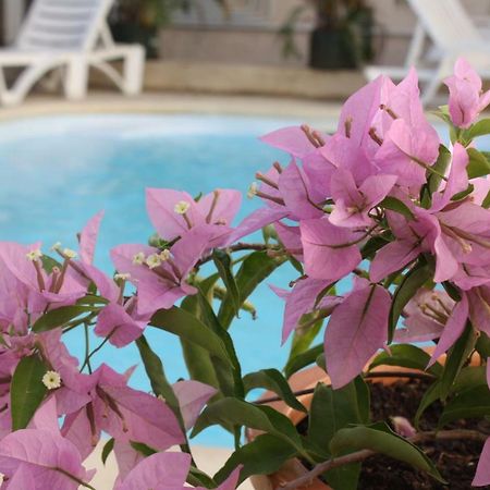 Residence Le Lotus กรองด์เบย์ ภายนอก รูปภาพ