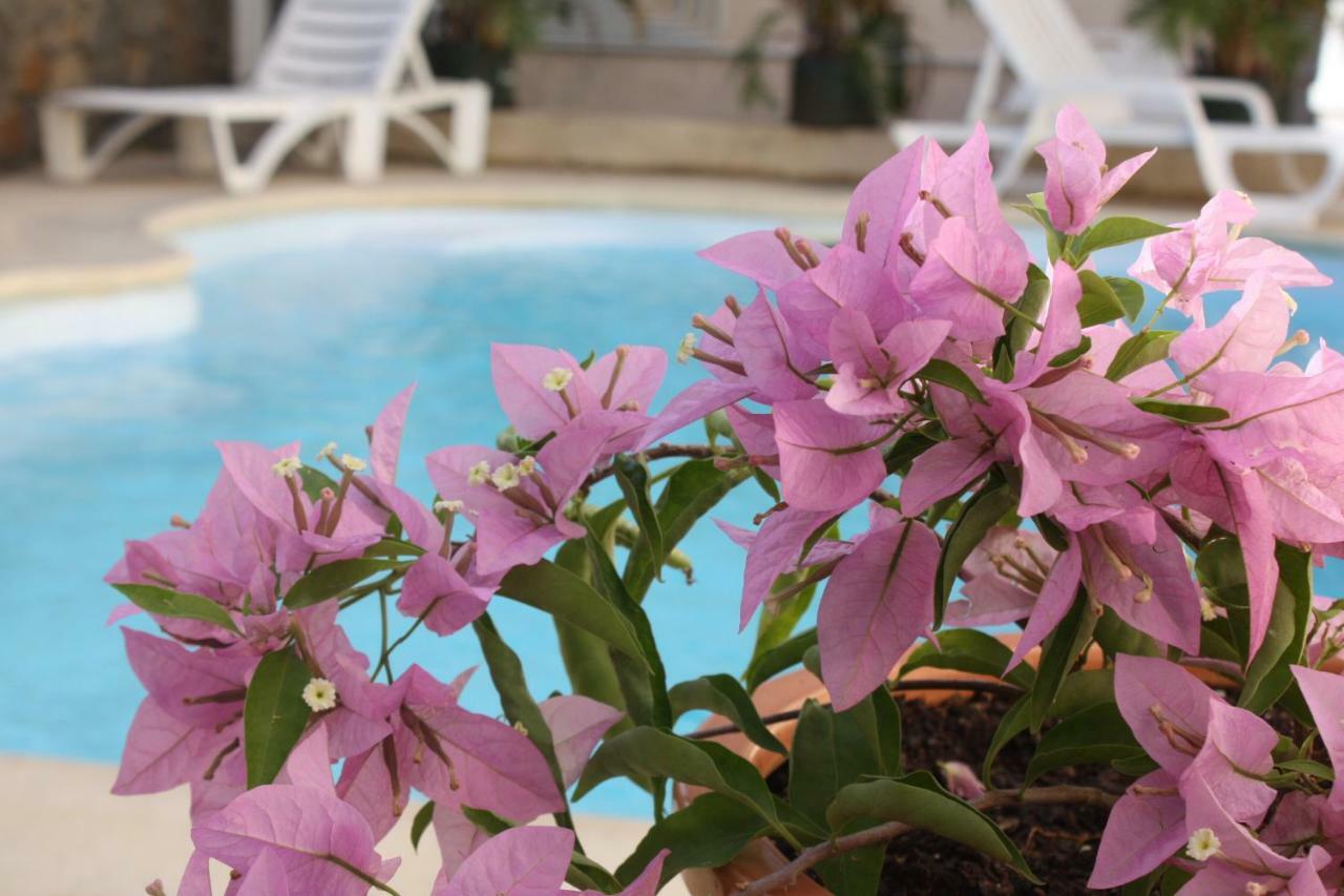 Residence Le Lotus กรองด์เบย์ ภายนอก รูปภาพ